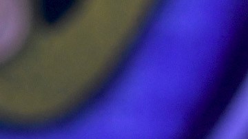 Maribel Guardia vivió en la misma casa desde que nació su hijo Julián Figueroa.