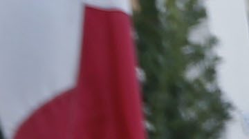 El exjugador de la NFL Willie Colon (izquierda), el mariscal de campo de los Dallas Cowboys, Mark Sanchez, y el exjugador de los New York Jets, D'Brickashaw Ferguson.