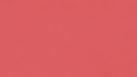 Mark Teixeira ataca al bando demócrata y ratifica apoyo a Donald Trump.