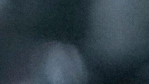 Mike Shildt de los Padres de San Diego.