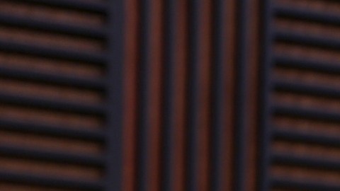 Victoria Kjaer Theilvig, actual Miss Universo.