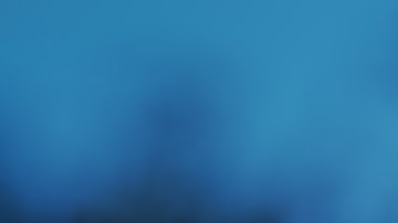 El festival ofrece experiencias de una sola noche con menús a medida y maridajes, incluyendo cenas con José Andrés, Alice Waters y Dan Kluger, y Kwame Onwuachi.