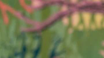 Nancy y Richard Kinder se unieron a la iniciativa The Giving Pledge en 2010.