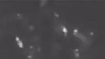 Las tres personas que viajaban en la lancha fallecieron en el ataque.