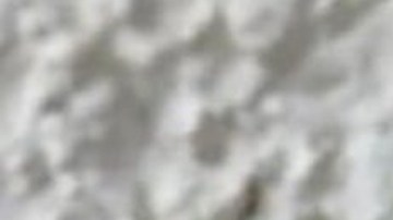 Capturan en Ciudad de México al principal operador del Tren de Aragua en el país