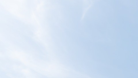 Nestlé enfrenta un año complicado en sus finanzas y su estructura corporativa.