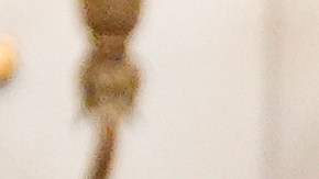 Netanyahu también ha destituido al ministro de Defensa, Yoav Gallant, y al jefe del Shin Bet, Ronen Bar.