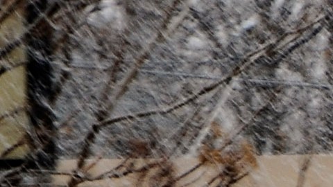 Heladas