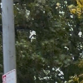 Intensas lluvias azotaron la ciudad de Nueva York y la zona metropolitana.