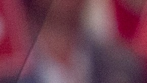 Demócratas demandaron la redistribución de Staten Island alegando discriminación racial: es el único bastión republicano en Nueva York