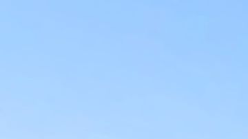 En el área de acampar del parque Little Tallapoosa fueron hallados los tres menores.