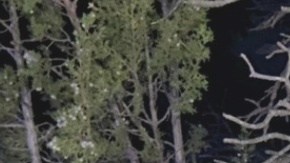 Los dos niños resultaron con heridas leves a pesar de lo aparatoso del accidente.