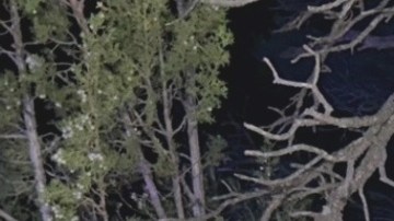 Los dos niños resultaron con heridas leves a pesar de lo aparatoso del accidente.