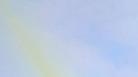 Niurka Marcos, actriz cubana, habló de su relación con Bruno.