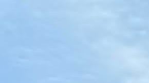 Más de 100,000 personas se estima que salieron a las calles en Nueva York.