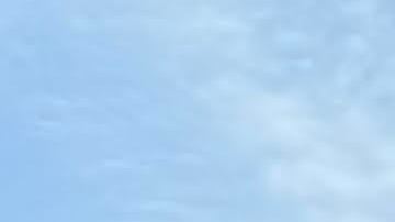 Más de 100,000 personas se estima que salieron a las calles en Nueva York.