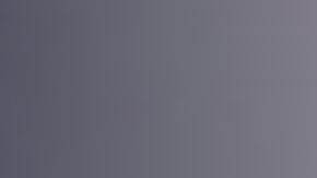 La visa de turista de Radule Bojovic había vencido en 2015.