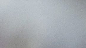 Exdelantero de Chivas Omar Bravo.