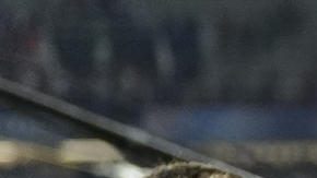 Los jugadores del París Saint-Germain celebran su victoria a la finalización del partido de la primera fase de la Liga de Campeones que FC Barcelona y PSG han disputado este miércoles en el estadio olímpico Lluis Companys.