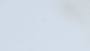 Las palomitas se distribuyeron a mayoristas en ocho estados y luego a minoristas en todo el país.