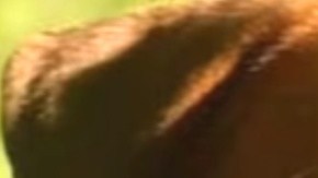 Eeyore se convirtió en un héroe de la ciudad de Destin. La oficial Devon Miller fue quien ayudó en el rescate.