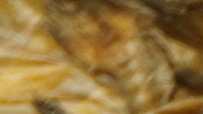 El pescado fue distribuido en todo el país.