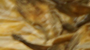 El pescado fue distribuido en todo el país.