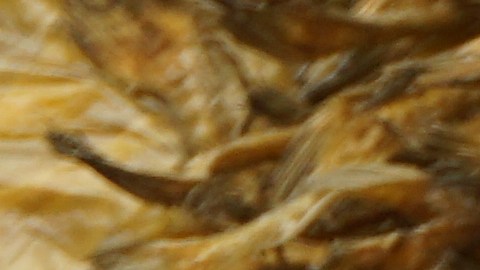 El pescado fue distribuido en todo el país.