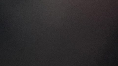 El corredor de los Seattle Seahawks, Adrian Peterson.