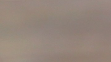 Hay una forma de preparar los plátanos que puede ayudar a mantenerlo semanas y hasta meses.