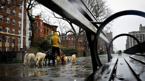 lluvia