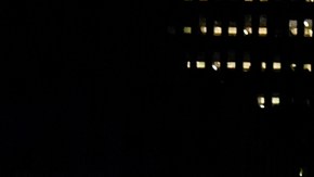 Este será el enorme árbol que iluminará el Rockefeller Center en Navidad