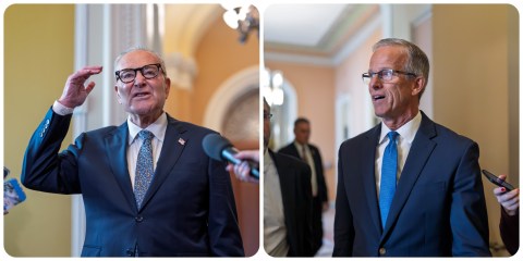 Schumer-Thune