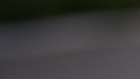 Scott Bessent aseguró que la actual administración está trabajando para lograr un crecimiento económico sólido.