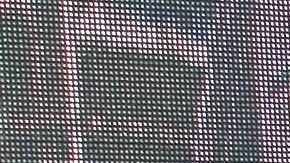 Sofía Rivera Torres.