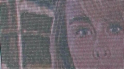 Sofía Rivera Torres.