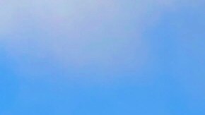 La programación incluye una visita personalizada en Hacienda Alsacia de Starbucks, ubicada en las faldas del Volcán Poás.