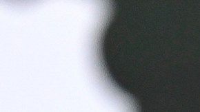 Sydney Sweeney tiene varias propiedades en Estados Unidos.