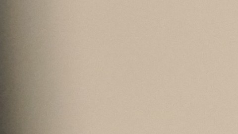 Celebra el Día Nacional del Taco con ofertas y descuentos.