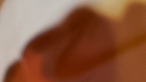 Los tamales de elote son un platillo muy popular en México, Puerto Rico, Venezuela y otros países de Latinoamérica.