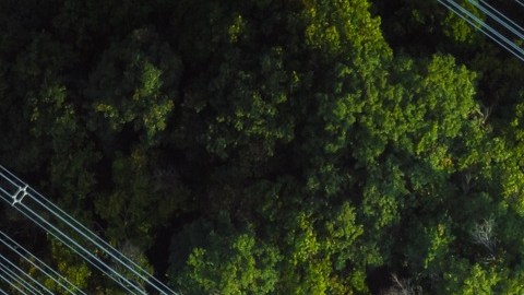 Tanto autoridades como proveedores del servicio reconocen que la infraestructura eléctrica requiere una renovación profunda.