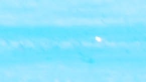 La manzanilla es rica en biocompuestos que generan un efecto de relajación.