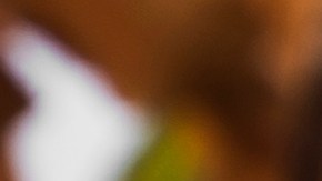 Una infusión de especias con pétalos de rosa ayuda a mejorar el olor natural del cuerpo.