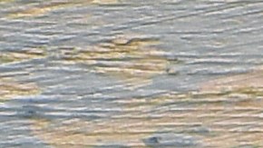 Las tortillas con vegetales son una comida que aporta proteína y genera sensación de llenura por más tiempo.