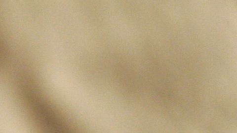 Guante y el logo de la UFC en el Ultimate Fighting Championship 73.