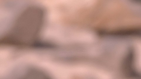 Conductores de Uber y Lyft denuncian despidos sin aviso ni derecho a defensa en Nueva York