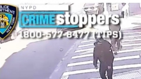 Sospechosos de violento ataque pandillero captados en cámara de vigilancia en Queens, NYC.