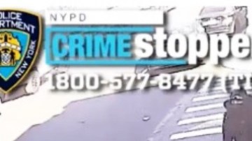 Sospechosos de violento ataque pandillero captados en cámara de vigilancia en Queens, NYC.