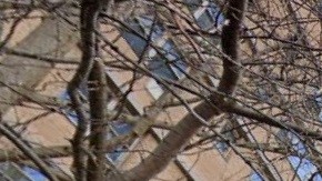 Trump Village Apartments, Brooklyn, NYC.