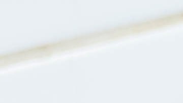 Aprende tres recetas sencillas de preparar en la freidora de aire.